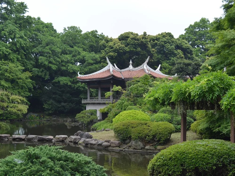 🌳 신주쿠 교엔 이미지 6